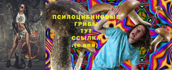гидра Нязепетровск