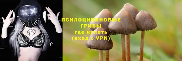 гидра Нязепетровск