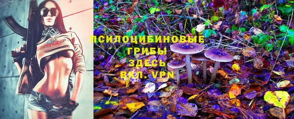 гидра Нязепетровск