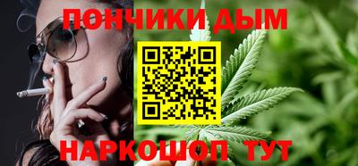 сатива Кандалакша