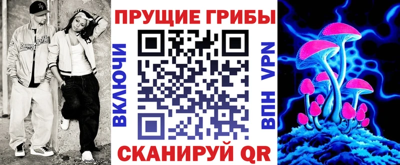 где продают   Кувандык  Псилоцибиновые грибы ЛСД 